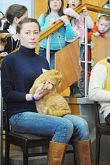 428 X 640 189.3 Kb 12 апреля Международная Выставка Кошек г.Можга