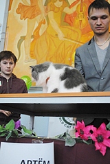 428 X 640 159.3 Kb 428 X 640 148.3 Kb 12 апреля Международная Выставка Кошек г.Можга