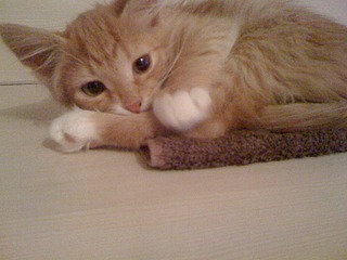 1600 X 1200 705.4 Kb     