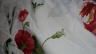 1920 X 1080 929.0 Kb 1920 X 1080 929.6 Kb  