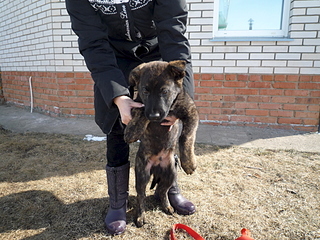 1920 X 1440 367.7 Kb    