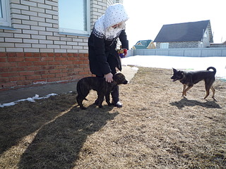 1920 X 1440 433.4 Kb    