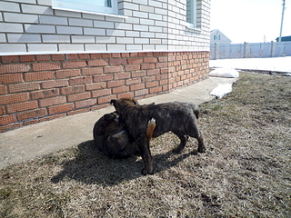 1920 X 1440 502.4 Kb    