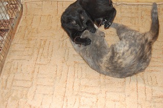 1920 X 1276 616.6 Kb      !