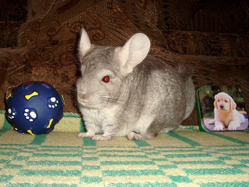 1320 X 990 143.0 Kb 1320 X 990 193.7 Kb 1320 X 990 145.8 Kb  -  