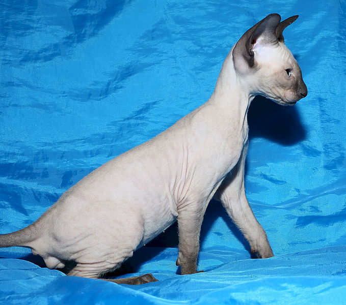 1920 X 1695 560.8 Kb   