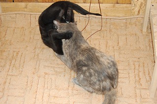 1920 X 1276 591.5 Kb      !