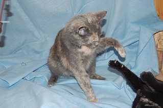 1920 X 1276 449.6 Kb 1920 X 1276 591.5 Kb      !