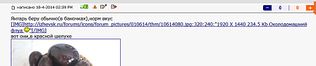 1109 X 231  42.7 Kb Околодомашний флуд :)