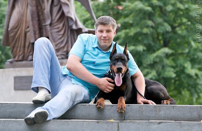 700 x 453 534 X 800 97.7 Kb Его Величество ДОБЕРМАН.
