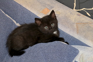 1920 X 1280 688.0 Kb         