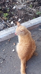 1920 X 3413 514.3 Kb  