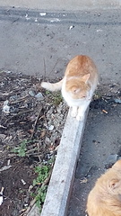 1920 X 3413 654.4 Kb 1920 X 3413 514.3 Kb  