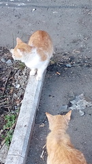 1920 X 3413 608.4 Kb 1920 X 3413 654.4 Kb 1920 X 3413 514.3 Kb  