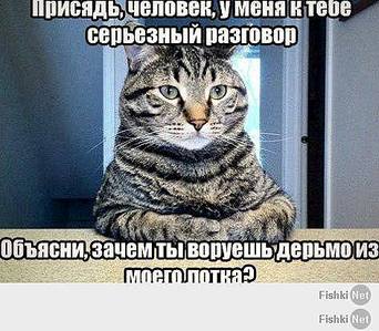 472 X 413  42.7 Kb Улыбнемся?