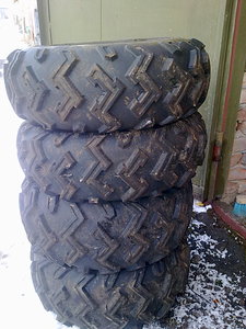 1536 X 2048 599.0 Kb    