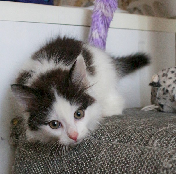 1920 X 1904 720.8 Kb  .    .