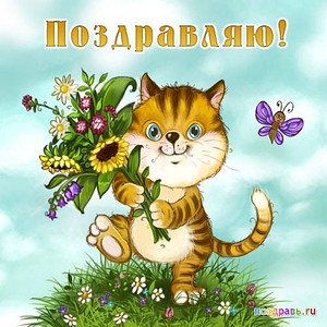 500 X 500 63.5 Kb БУРМЫ- шелковые пантеры. Питомник бурманских кошек 'NATIZE'. У нас БУРМЯТА !