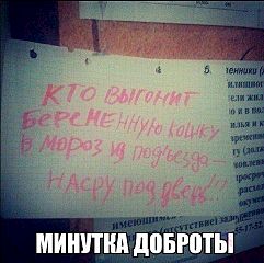 482 X 480  44.0 Kb Улыбнемся?