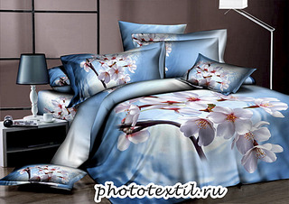 1024 X 724 394.0 Kb    3D