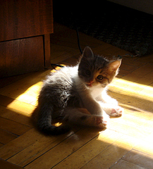 1409 X 1557 813.7 Kb 768 X 1024 53.6 Kb 768 X 872 264.1 Kb 768 X 1024 329.6 Kb ������������ ������ � ������� ������������� ����