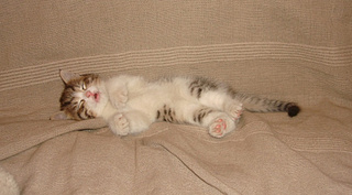 907 X 502 178.3 Kb 622 X 705 205.1 Kb 612 X 621 156.5 Kb ������������ ������ � ������� ������������� ����