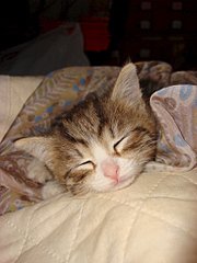 768 X 1024 304.4 Kb 907 X 502 178.3 Kb 622 X 705 205.1 Kb 612 X 621 156.5 Kb ������������ ������ � ������� ������������� ����