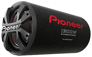 701 X 434 183.1 Kb    Pioneer
