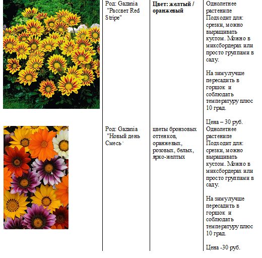 520 x 512 520 X 733 69.0 Kb 520 X 622 59.1 Kb Рассада цветов. Каталог внутри