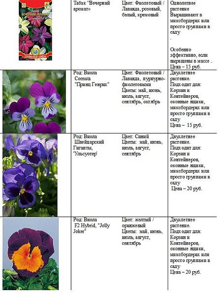 Цвет прайс. Прайс лист на рассаду цветов. Прайс лист рассады. Расценки на цветы. Прайс лист на цветы.