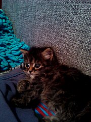 768 X 1024 151.3 Kb 768 X 1024 165.7 Kb  