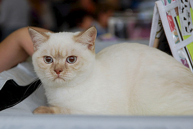 500 X 333 40.5 Kb 762 X 700 249.0 Kb   ! ()