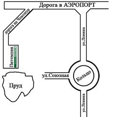 720 X 720  41.0 Kb Продажа саженцев ягодных кустарников