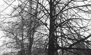 1920 X 1152 557.1 Kb 1920 X 1152 512.6 Kb 1920 X 1152 403.4 Kb    ...
