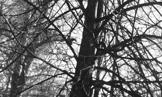 1920 X 1152 444.2 Kb 1920 X 1152 557.1 Kb 1920 X 1152 512.6 Kb 1920 X 1152 403.4 Kb    ...