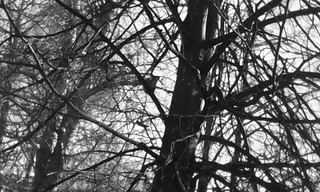 1920 X 1152 440.9 Kb 1920 X 1152 443.9 Kb 1920 X 1152 449.7 Kb    ...