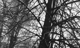 1920 X 1152 436.5 Kb 1920 X 1152 440.9 Kb 1920 X 1152 443.9 Kb 1920 X 1152 449.7 Kb    ...
