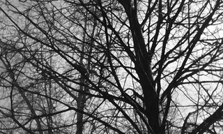 1920 X 1152 460.6 Kb 1920 X 1152 450.6 Kb    ...