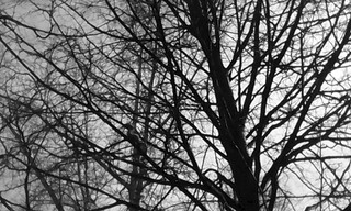 1920 X 1152 466.4 Kb 1920 X 1152 460.6 Kb 1920 X 1152 450.6 Kb    ...