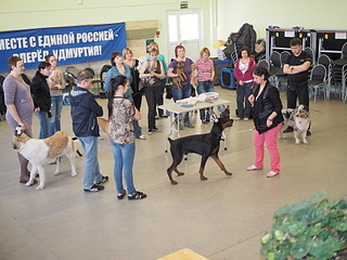 1920 X 1440 633.1 Kb 1920 X 1440 564.6 Kb 1723 X 2902 919.3 Kb 19-20 апреля третий семинар по хендлингу Ивановой Ларисы (Новая информация)