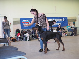 1920 X 1440 474.3 Kb 1920 X 2324 762.2 Kb 19-20 апреля третий семинар по хендлингу Ивановой Ларисы (Новая информация)