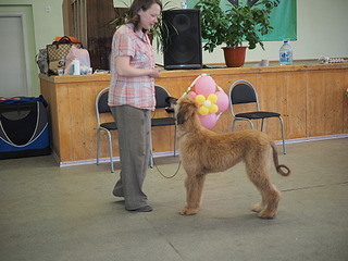 1920 X 1440 557.7 Kb 19-20 апреля третий семинар по хендлингу Ивановой Ларисы (Новая информация)