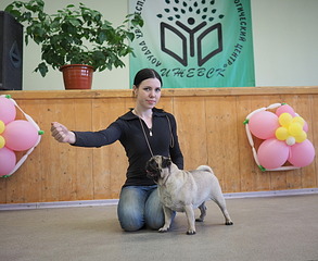 1920 X 1571 608.9 Kb 19-20        ( )