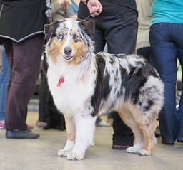 1920 X 1793 583.3 Kb 1920 X 1725 661.7 Kb 1920 X 1571 608.9 Kb 19-20        ( )