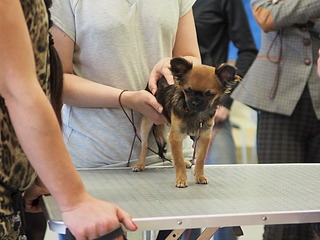 1920 X 1440 474.5 Kb 19-20        ( )