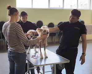 1920 X 1550 502.2 Kb 19-20        ( )