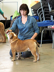 1920 X 2560 330.6 Kb 1920 X 1439 261.1 Kb 1920 X 1440 151.9 Kb 19-20 апреля третий семинар по хендлингу Ивановой Ларисы (Новая информация)