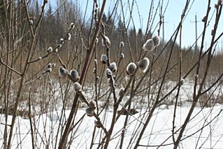 1280 X 853 228.0 Kb 1280 X 853 309.7 Kb     )