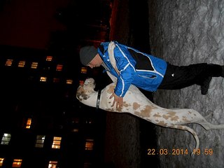 604 X 453  43.9 Kb Эрдельтерьеры и Немецкие доги в Ижевске.
