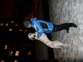 604 X 453  44.5 Kb 604 X 453  53.0 Kb 604 X 453  43.9 Kb Эрдельтерьеры и Немецкие доги в Ижевске.